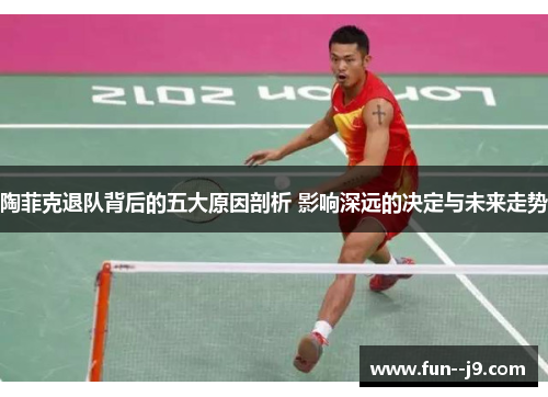 陶菲克退队背后的五大原因剖析 影响深远的决定与未来走势