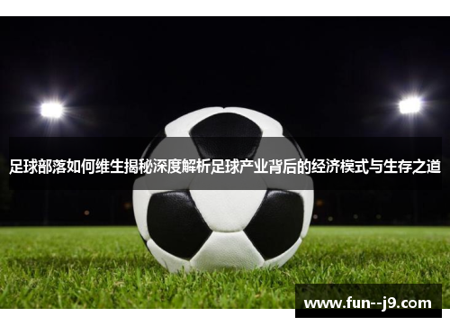 足球部落如何维生揭秘深度解析足球产业背后的经济模式与生存之道