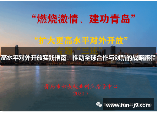 高水平对外开放实践指南：推动全球合作与创新的战略路径